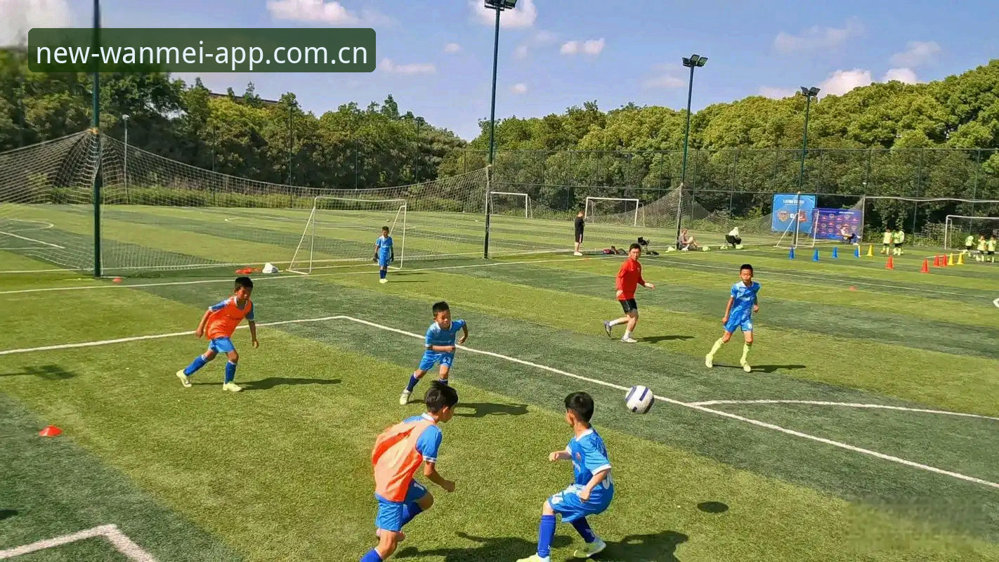 WANMEI APP下载 揭秘:亚洲球队在世界杯集体翻车的真正原因,9个名额到底多了还是少了?