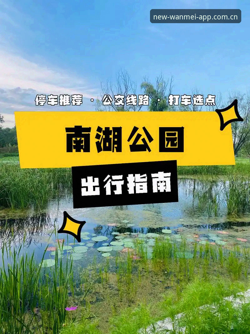 完美体育中国首页安装教程：从WANMEI APP到赛事数据源的完整指南